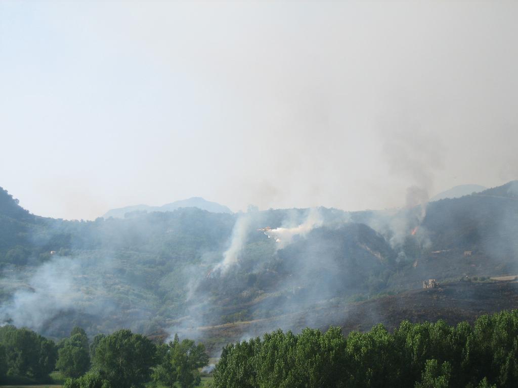 incendio aiello-lago 21 luglio 6.JPG